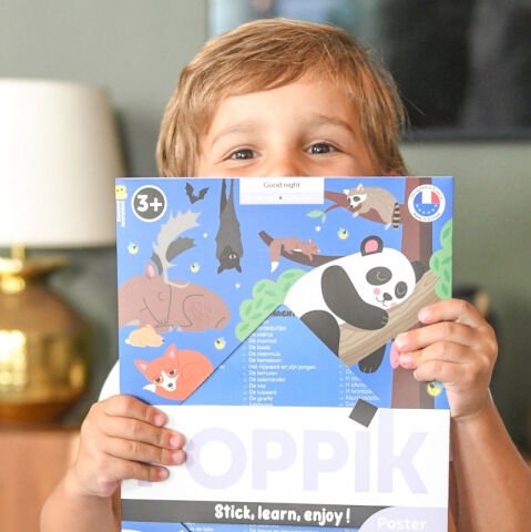 Discovery Good Night