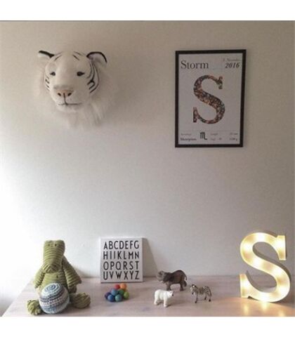 Wild & Soft Duvar Aksesuarı - Kaplan Albert