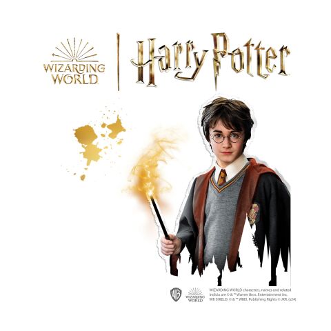 Ses Creative - Harry Potter - Taş Boyama