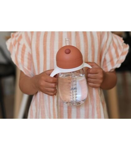 Beaba Pipetli Suluk (300 ml) - Terracotta