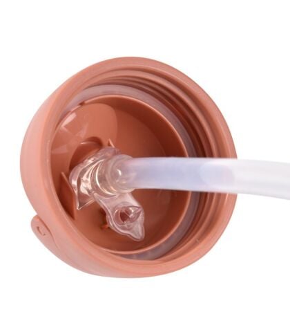 Beaba Pipetli Suluk (300 ml) - Terracotta