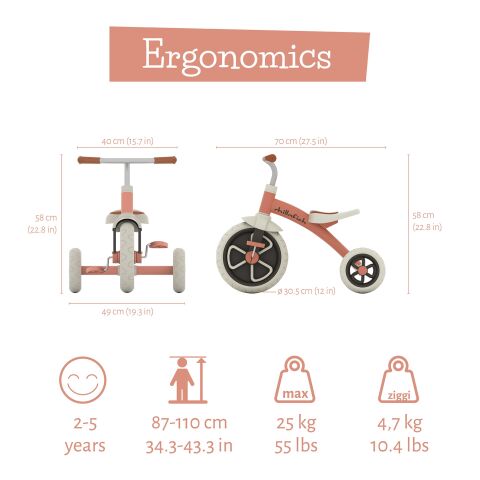 Chillafish - Ziggi - Üç Tekerlekli Bisiklet (12 inç) - Salmon