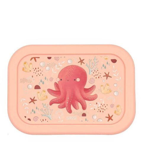 Sassi - Beslenme Kutusu - Pratik Ahtapot