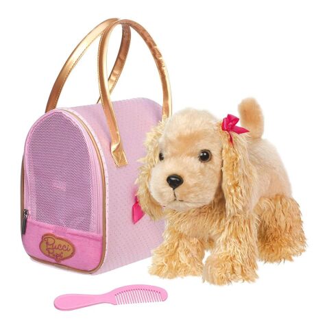 Pucci Pups C. Spaniel