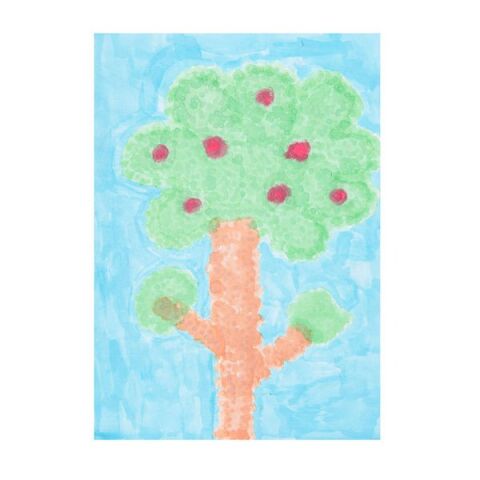 Sünger Uçlu Boya Seti (6*70ML)