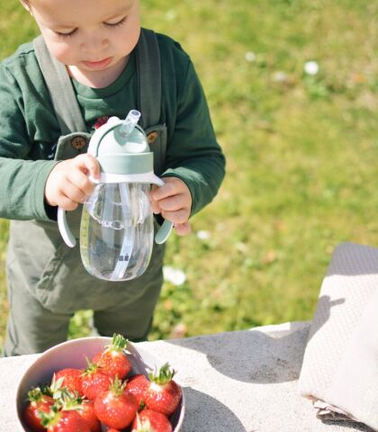 Beaba Pipetli Suluk (300 ml) - Sage Green