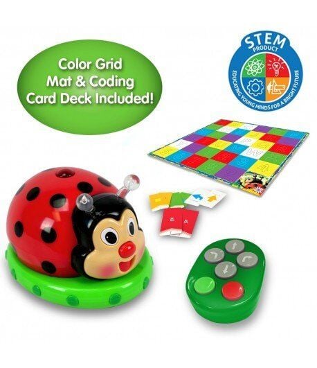 The Learning Journey Kodla Öğren / Uğur Böceği Kodluyor