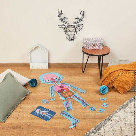 Janod Öğretici Puzzle - İnsan Vücudu 4'lü Set / Human Body