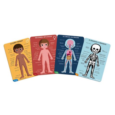 Janod Öğretici Puzzle - İnsan Vücudu 4'lü Set / Human Body