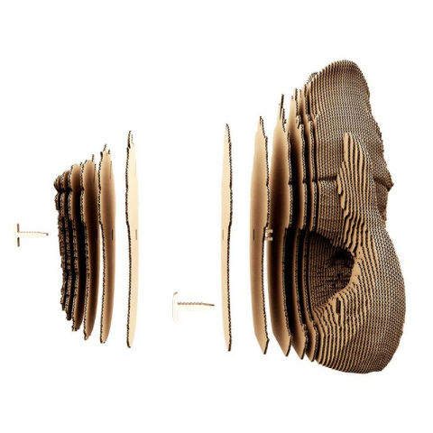 Cartonic 3D Puzzle - Fish Vase