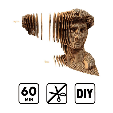 Cartonic 3D Puzzle - David