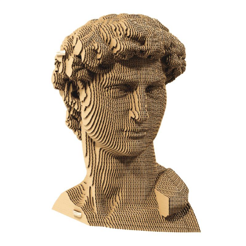 Cartonic 3D Puzzle - David