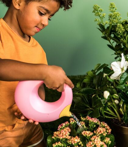 Quut Cana Çift Taraflı Çocuk Sulama Kabı / Small / Banana Pink