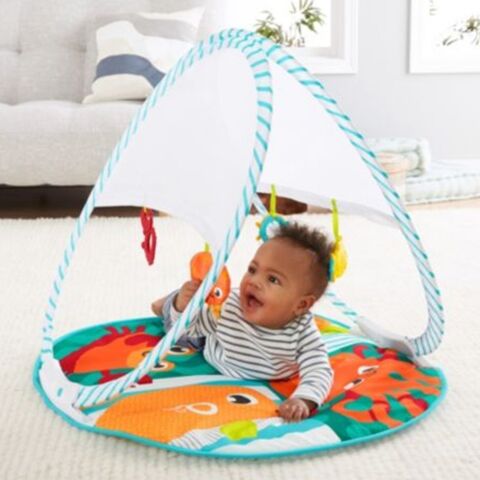 Fisher-Price Renkli Dostlar Taşınabilir Jimnastik Merkezi